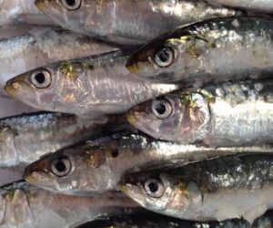 sardines a la planxa