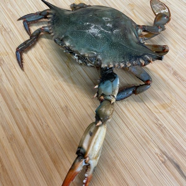 Cranc blau cangrejo azul cocinar delta pescadería online